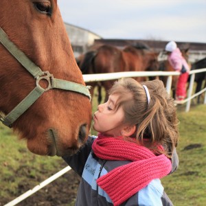 contact met dieren voorkomt astma